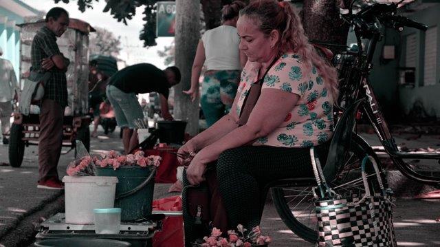 Vendedora de rosas en Honorato del Castillo entre calles Independencia y Joaquín de Agüero
